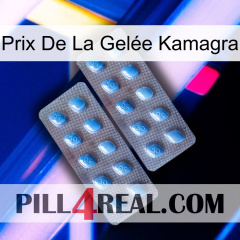 Prix De La Gelée Kamagra viagra4